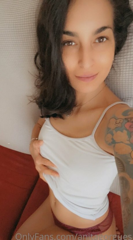 Anitagorgues