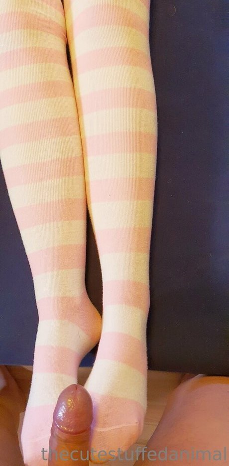 Thecutestuffedanimal