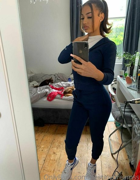 Destinydreamss