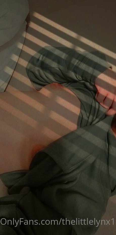 Thelittlelynx11