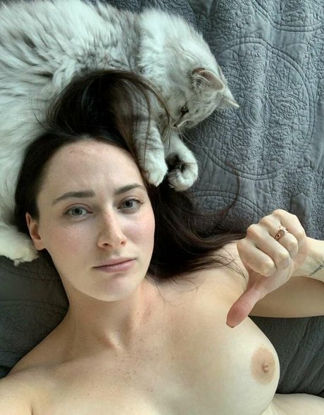 Isla David