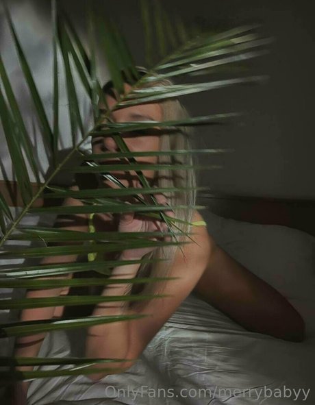 Merrybabyy
