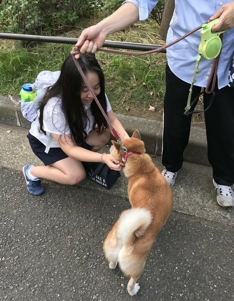 Strawberry_soju_princess