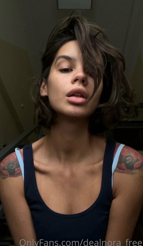 Dealnora_free