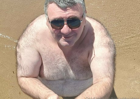 Bigdaddyvideos