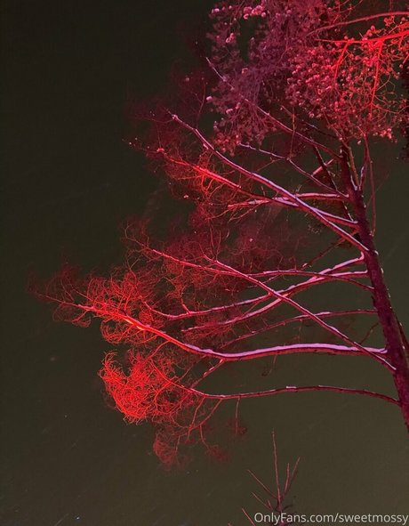 Sweetmossy