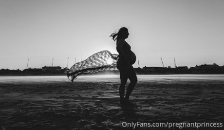Pregnantprincess