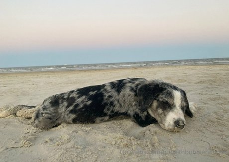 Funwithbubblerainbow