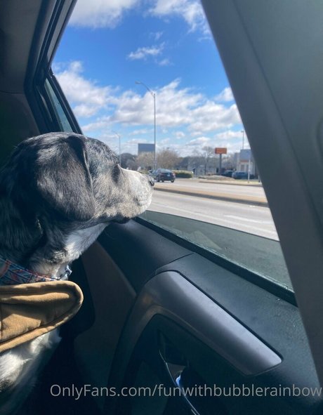 Funwithbubblerainbow