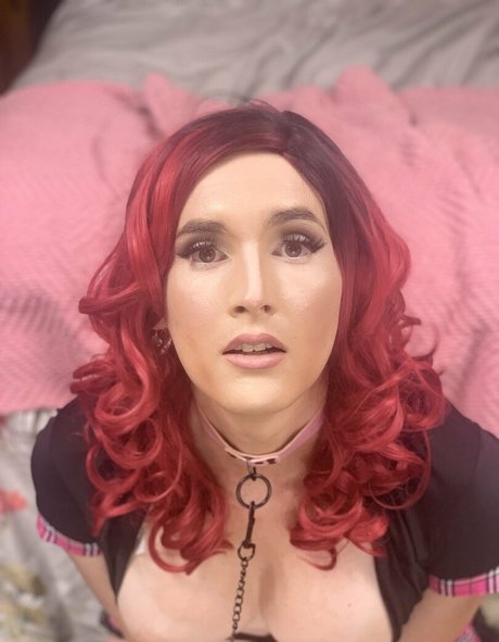 Transvixen