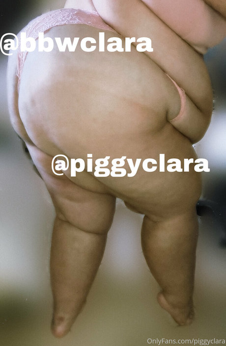 Piggyclara