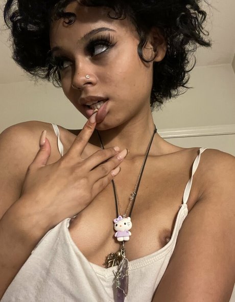 Kittysprive