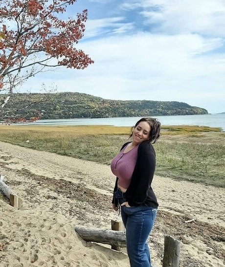 Lartdanstoutessesformes