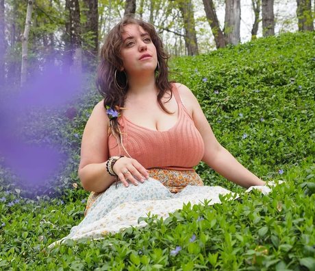 Lartdanstoutessesformes