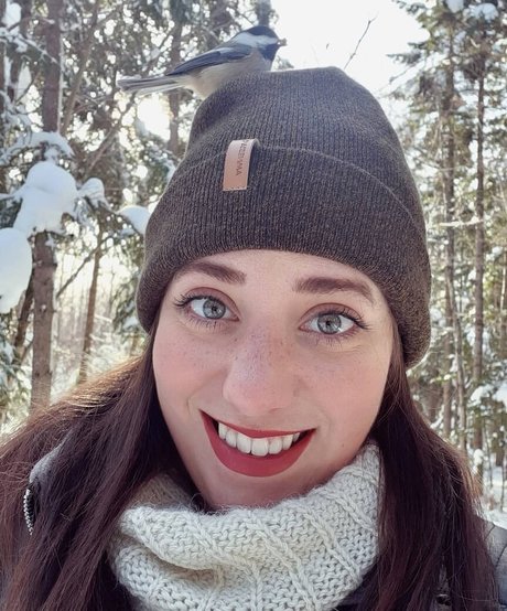 Lartdanstoutessesformes