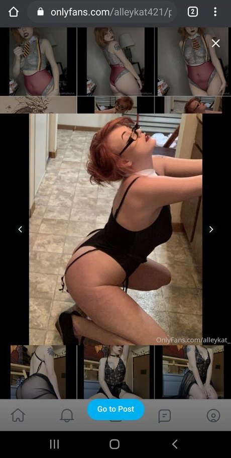 Alleykat421