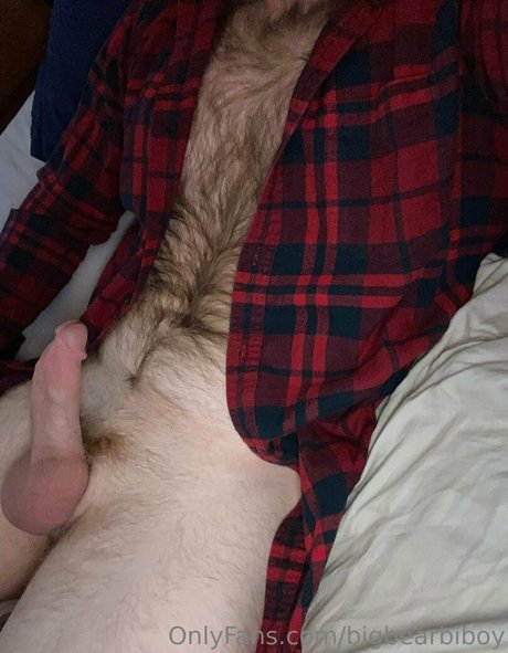 Bigbearbiboy