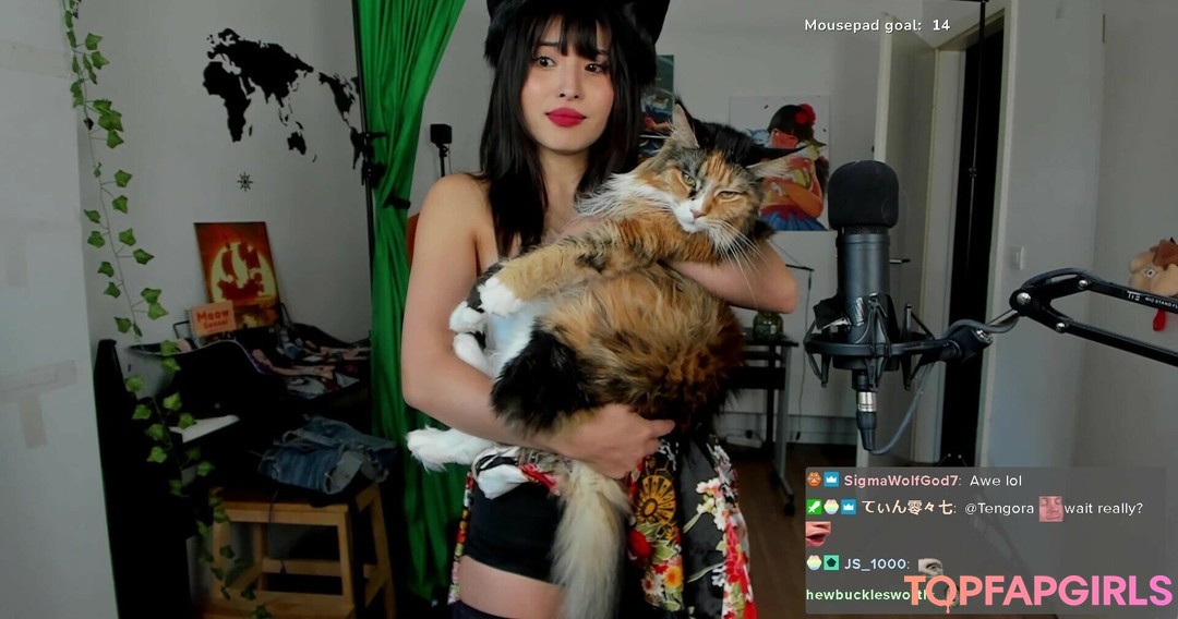 Foto desnuda filtrada de OnlyFans de Meowko #1538