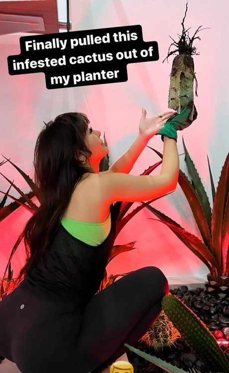 Sssniperwolf Foto desnuda filtrada de OnlyFans de Sssniperwolf #92