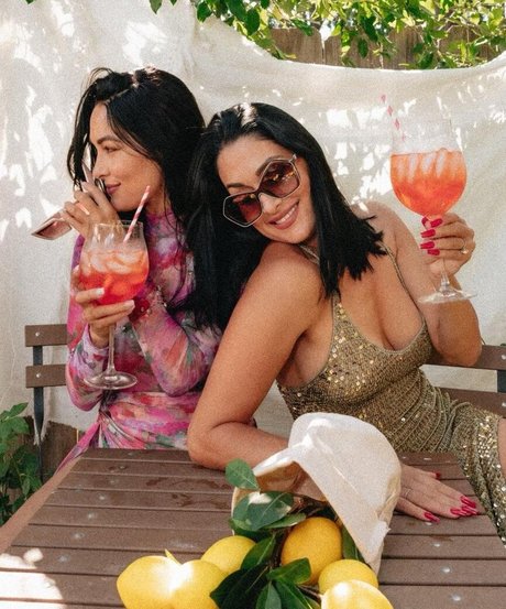 The Bella Twins