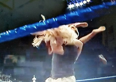 Torrie Wilson