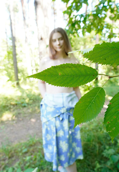 Acrylickatequinnfree