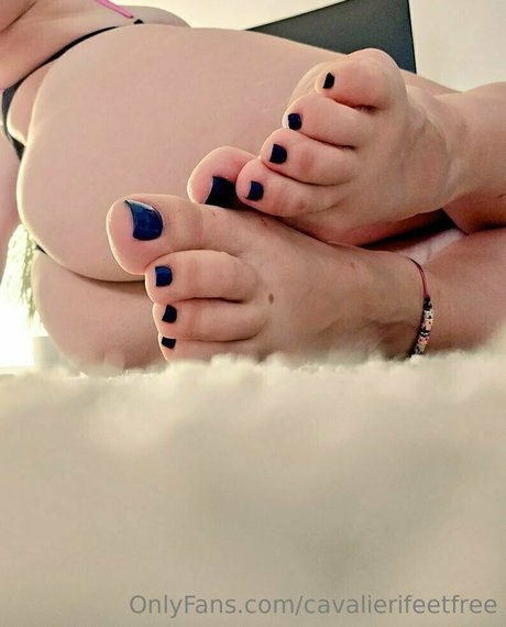 Cavalierifeetfree