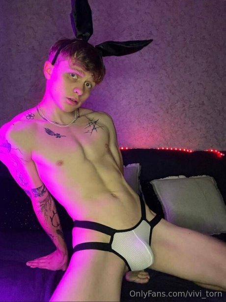 Vivi_torn