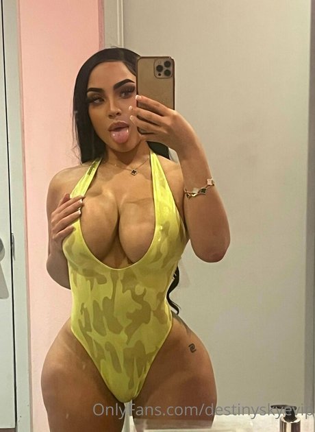 Destinyskyevip