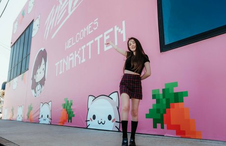 Tinakitten