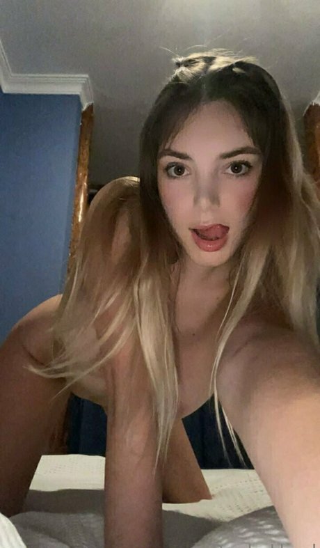 Paolahard
