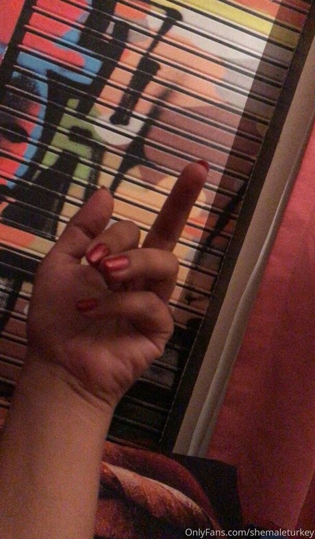 Shemaleturkey