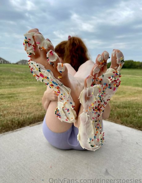 Gingerstoesies