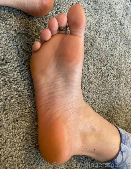 Gingerstoesies