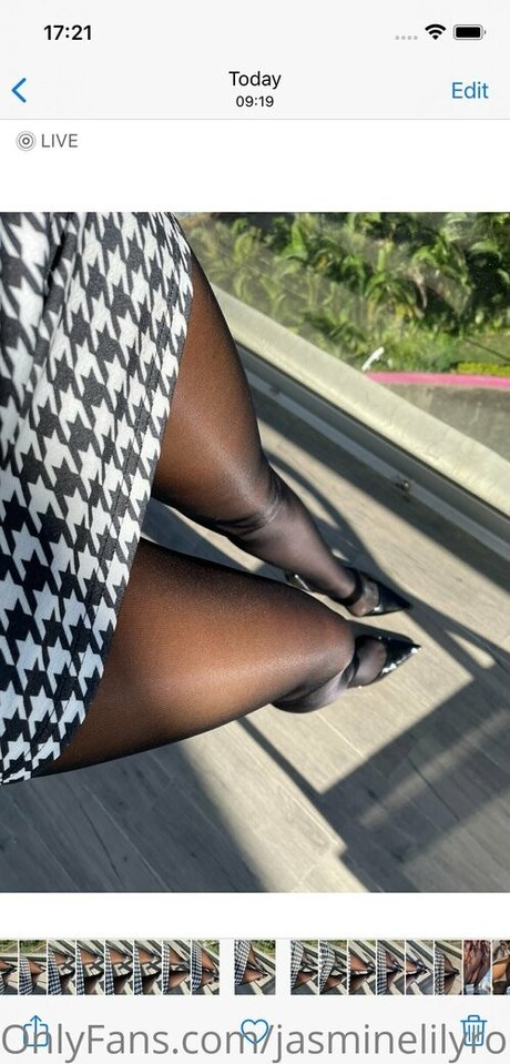 Jasminelilyrosestocking