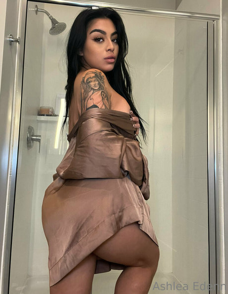 Ashleasoffline