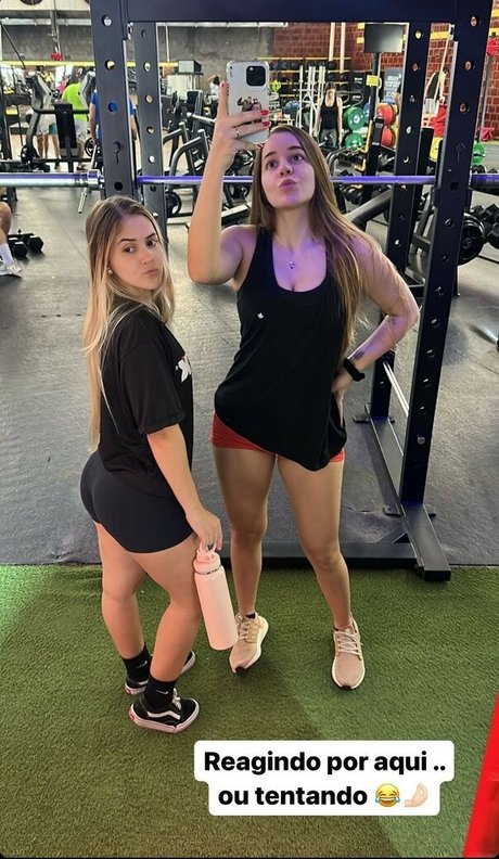 Laurinhafeer