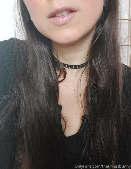 Thetiniestbunny