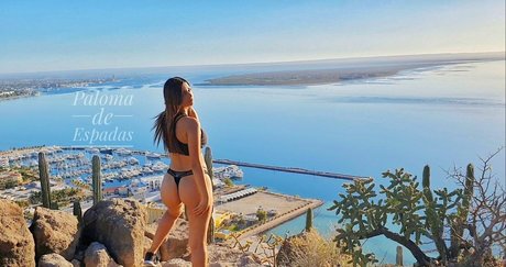 Palomadeespadasfree