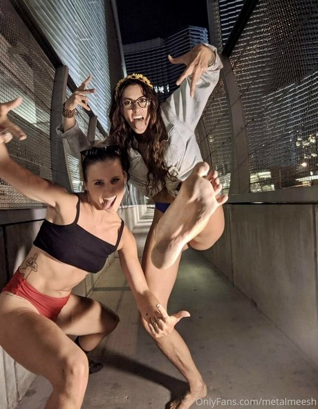 Metalmeesh