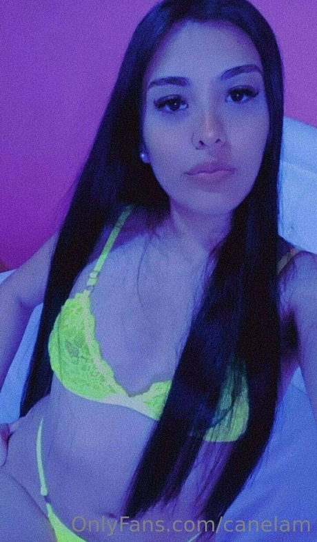 Canelam