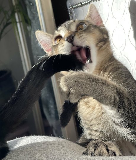 Evparrishsouthernmil