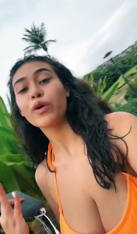 Alexpapadonker