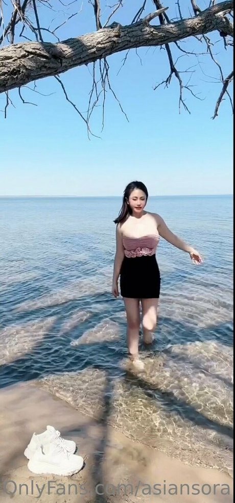 Asiansora