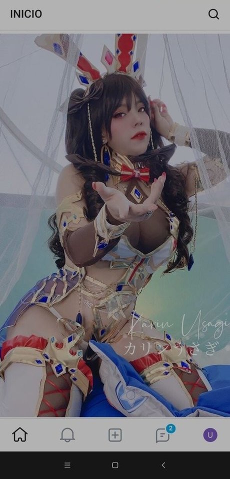 Karin Usagi