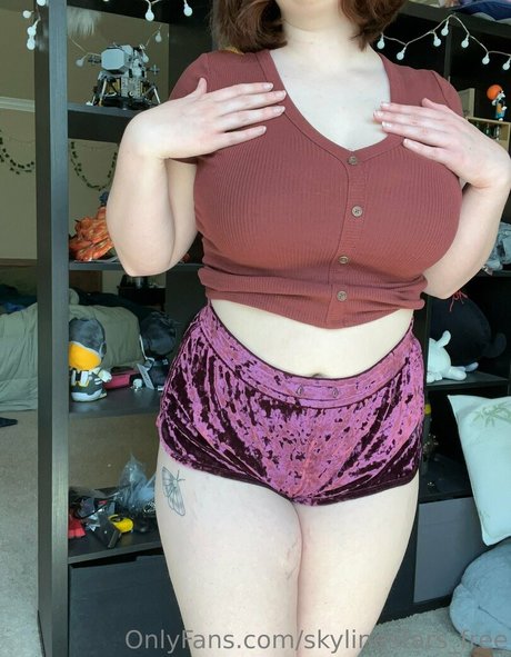 Foto desnuda filtrada de OnlyFans de Skylinestarsfree