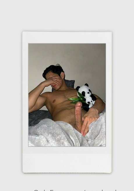 Foto desnuda filtrada de OnlyFans de Pandaslover