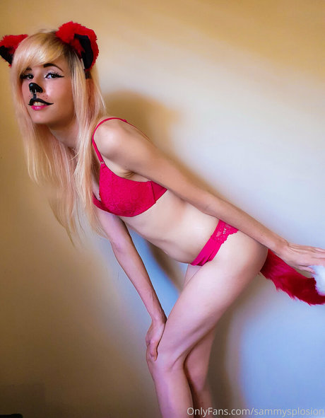 Sammy Splosion