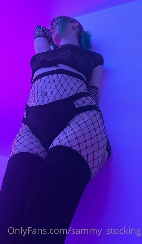 Sammystocking