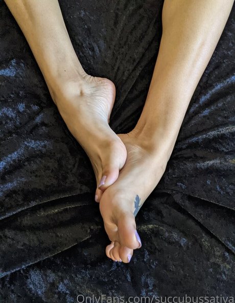 Succubussativa